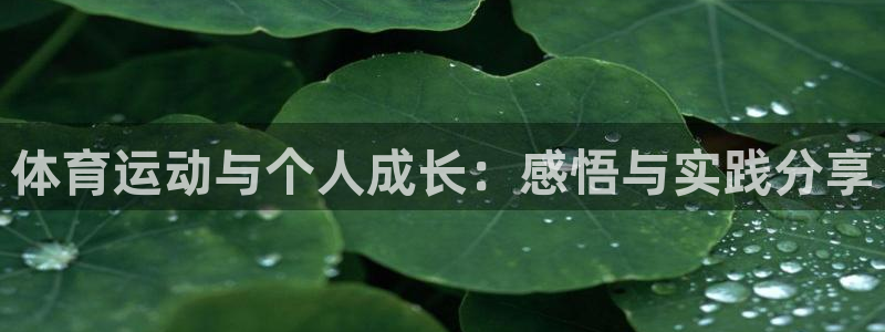 哈哈体育十年