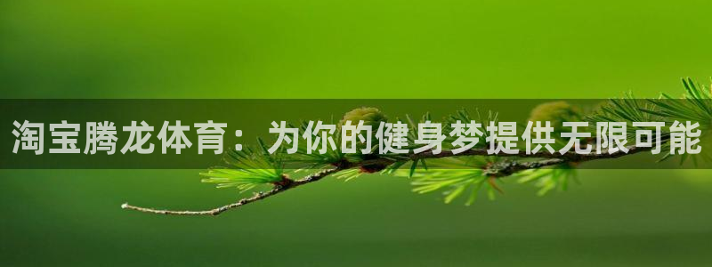 哈哈体育十年
