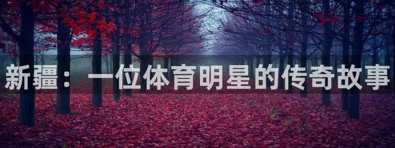 哈哈体育下载