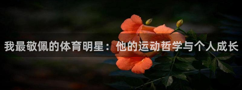 哈哈体育
