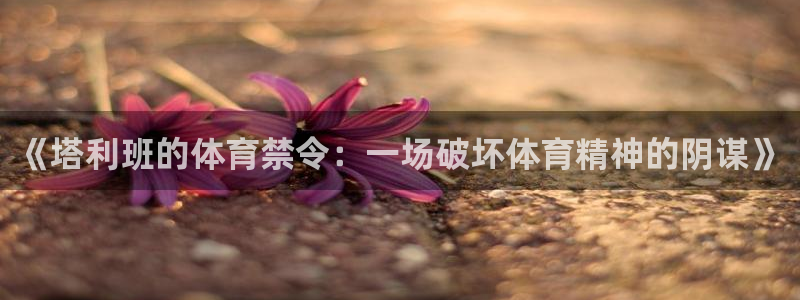 哈哈体育十年：《塔利班的体育禁令：一场破坏体育精神的阴谋》
