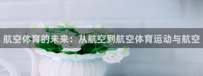 哈哈体育十年：航空体育的未来：从航空到航空体育运动与航空