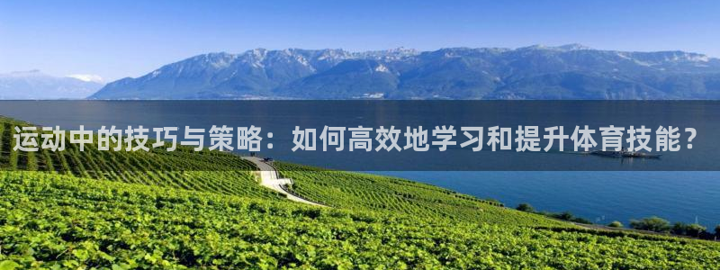 哈哈体育十年：运动中的技巧与策略：如何高效地学习和提升体育技能？