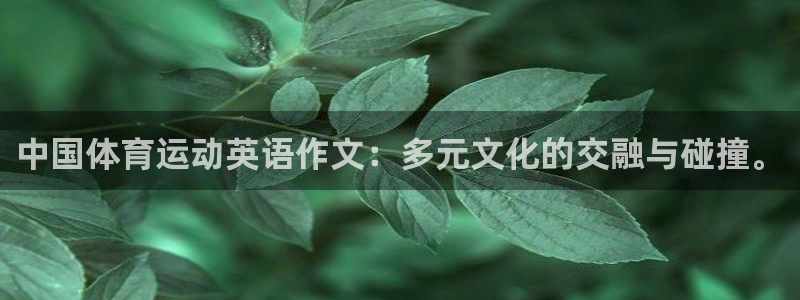 哈哈体育下载：中国体育运动英语作文：多元文化的交融与碰撞。