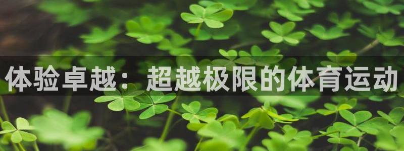 哈哈体育十年：体验卓越：超越极限的体育运动