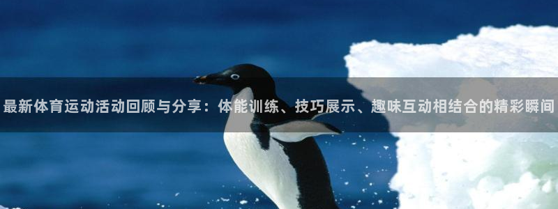 哈哈体育下载：最新体育运动活动回顾与分享：体能训练、技巧展示、趣味互动相结合的精彩瞬间