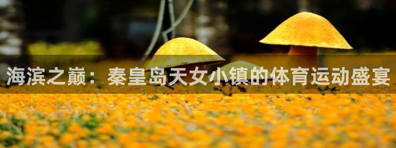 哈哈体育十年