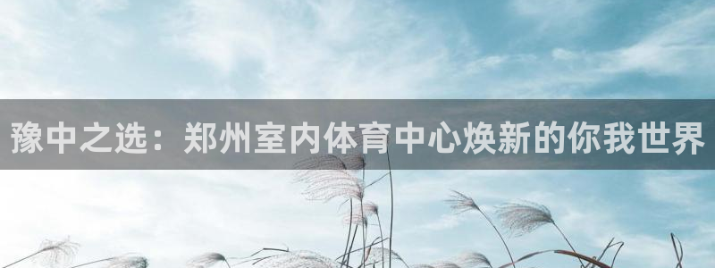 哈哈体育下载：豫中之选：郑州室内体育中心焕新的你我世界
