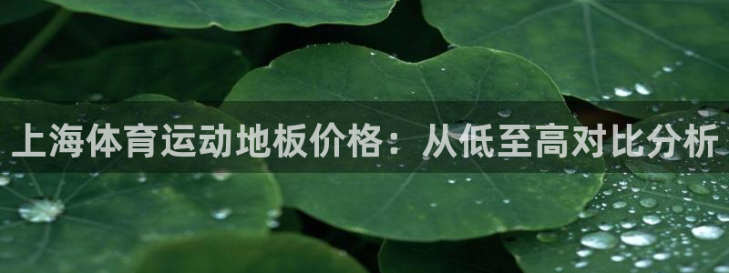 哈哈体育十年：上海体育运动地板价格：从低至高对比分析